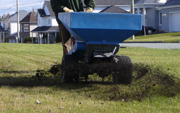 Compost and Overseeding Application after aeration is a great add-on to make your lawn really pop next spring.